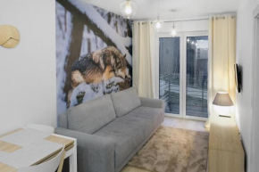 Apartament Szary Wilk Swieradów-Zdrój